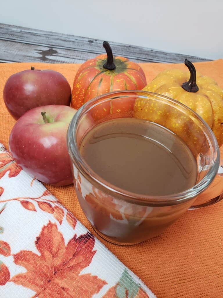 Slow Cooker Pumpkin Spice Apple Cider