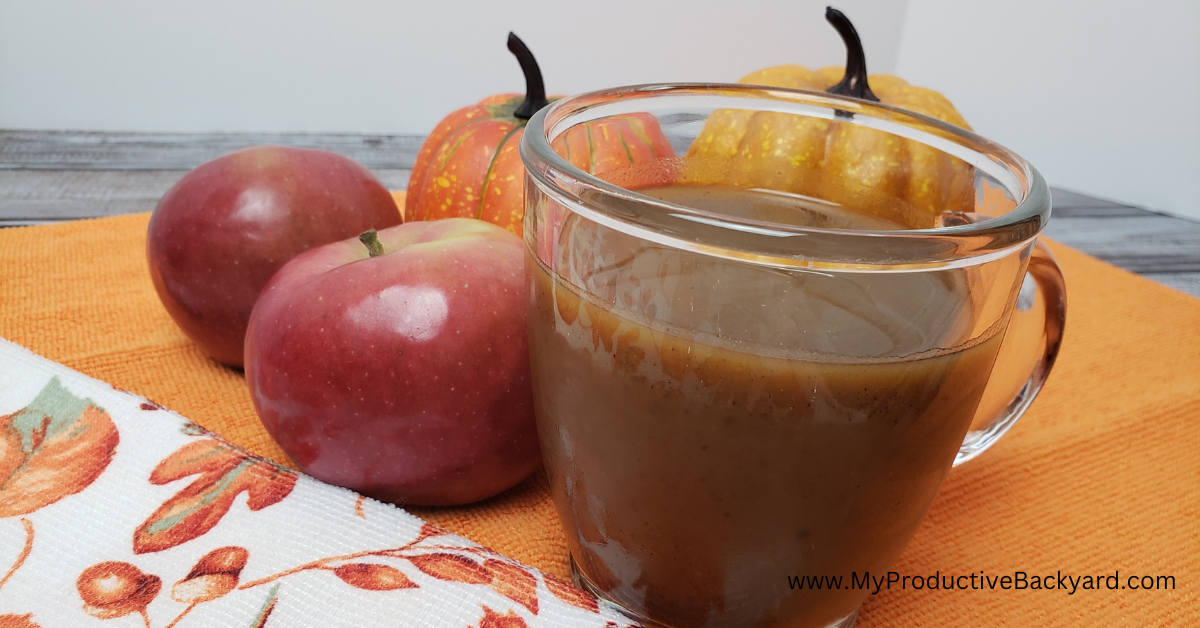 Sluggish Cooker Pumpkin Spice Apple Cider