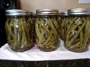 Pickled Green Beans