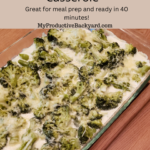 Low Carb Chicken Broccoli Alfredo Casserole Pinterest Pin