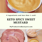 Keto Spicy Sweet Mustard Pinterest pin