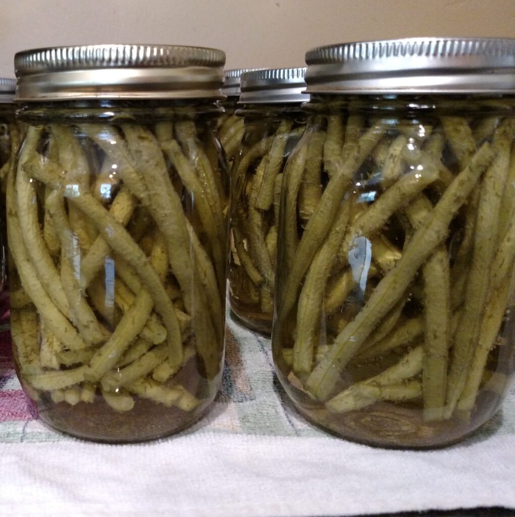 Pickled Green Beans