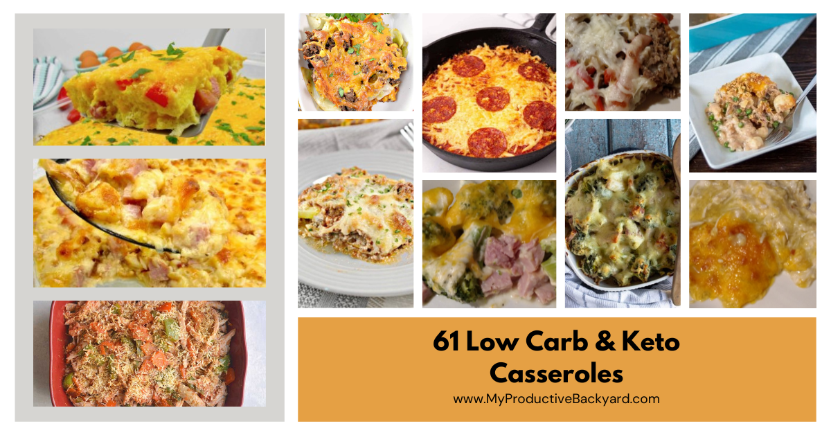 61 Low Carb Keto Casseroles