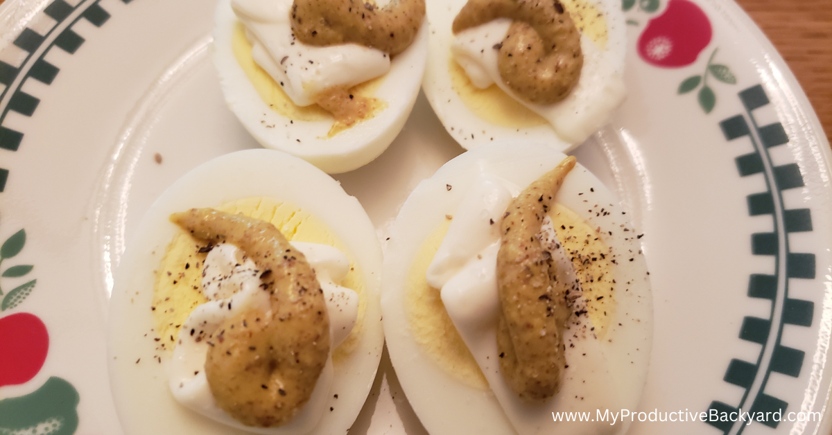 Lazy Deviled Eggs – My Productive Yard