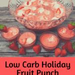 Low Carb Holiday Fruit Punch