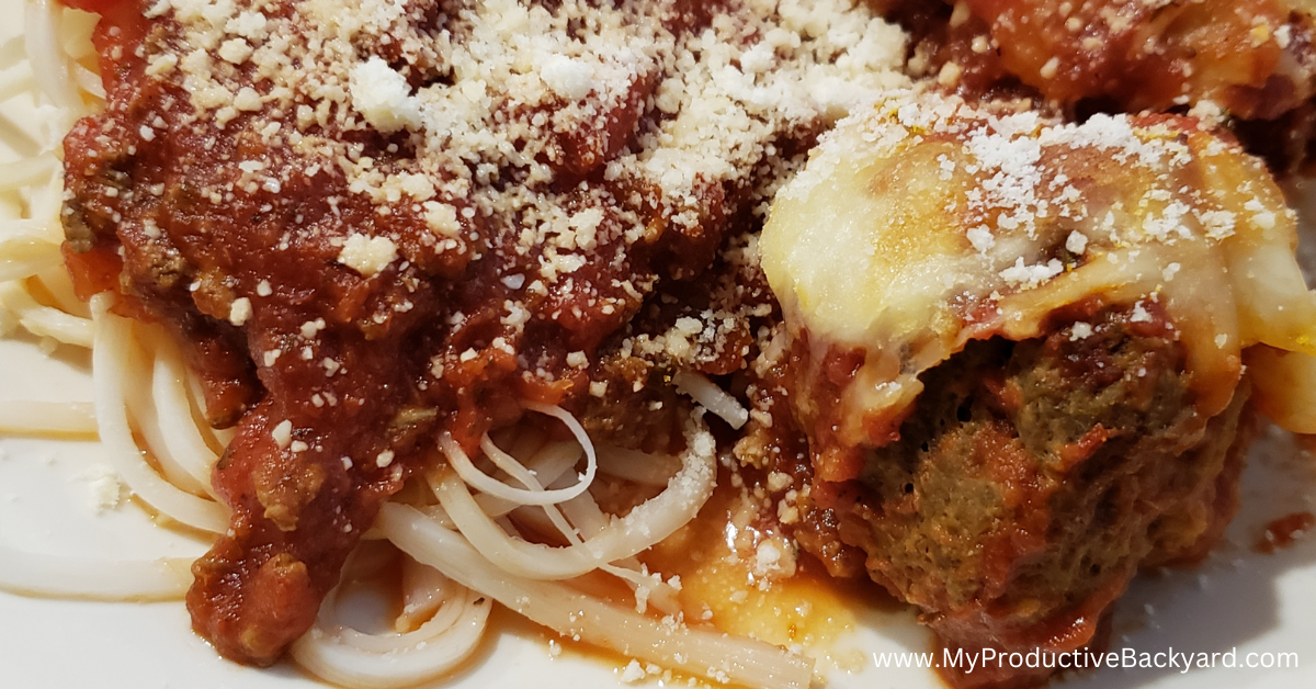 Low Carb Parmesan Meatballs – My Productive Yard