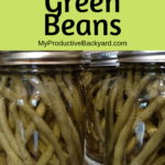 Pickled Green Beans